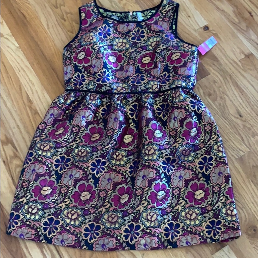 Gorgeous NWT Pink Tapestry Dress